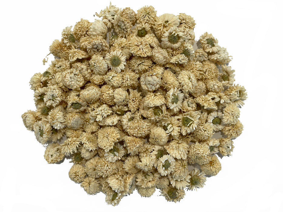 Camomille romaine - Boutons de fleur de Chamaemelum nobile - Rupture de stock récolte courant été