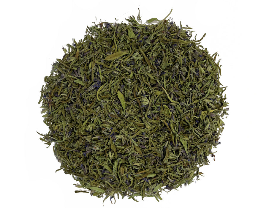 Hysope - Feuilles d’Hyssopus officinale -