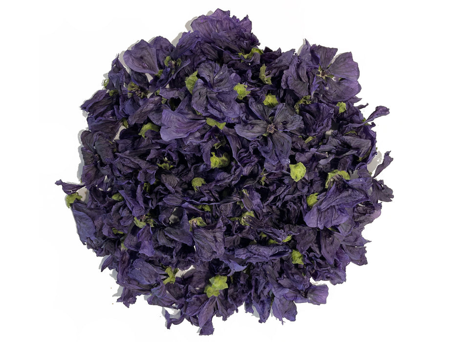 Mauve sylvestre - Boutons de fleur de Malva sylvestris -