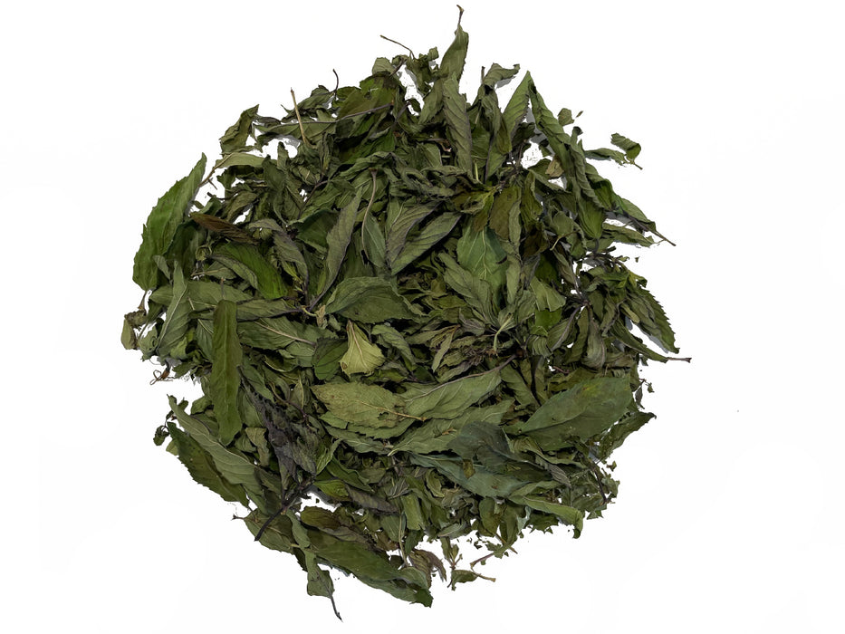 Menthe chocolat - Feuilles entières de Mentha piperita 'Chocolate Mint'