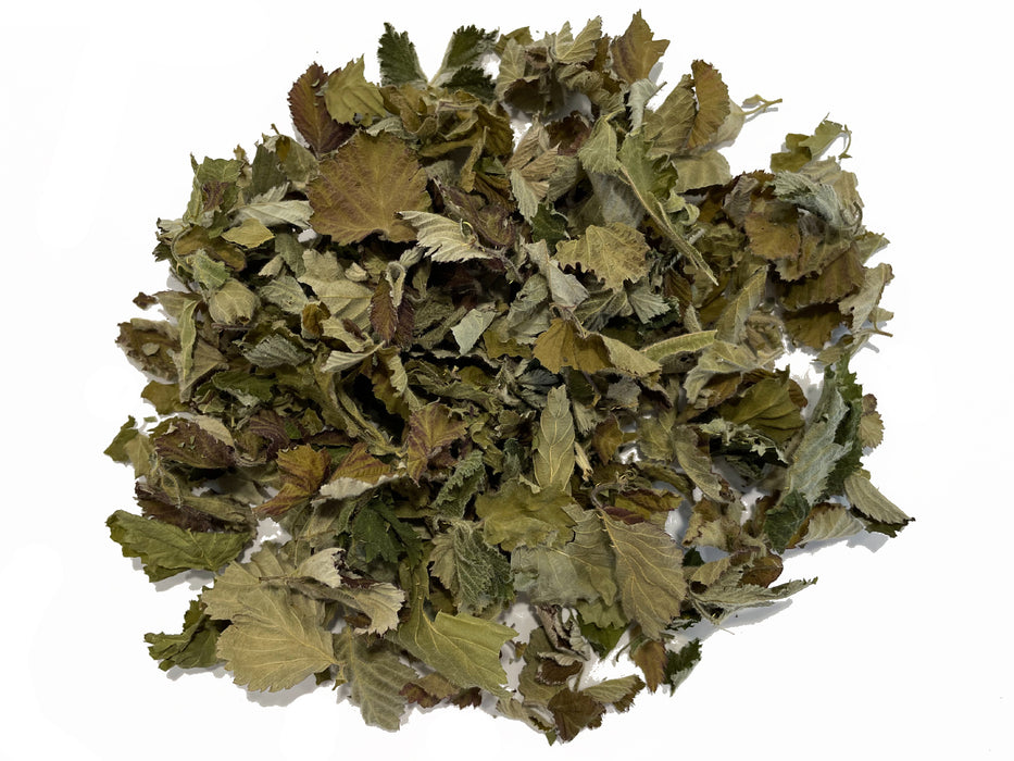 Ronce - Feuilles entières séchées de Rubus plicatus