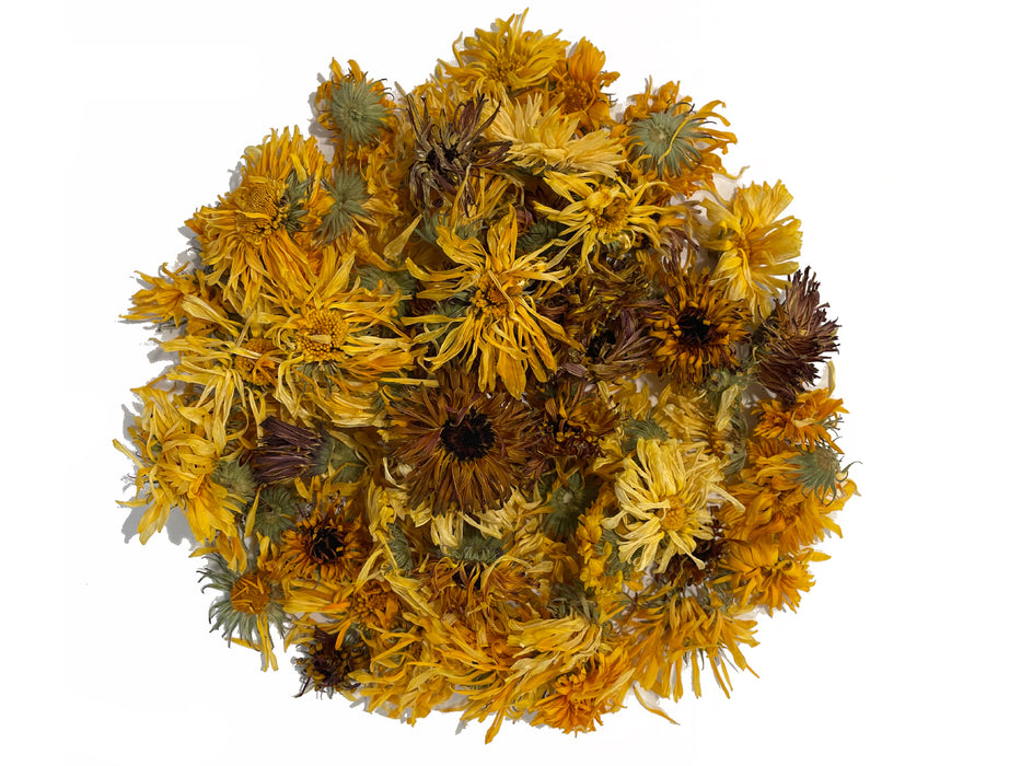 Souci (Calendula) - Boutons de fleur de Calendula officinal -