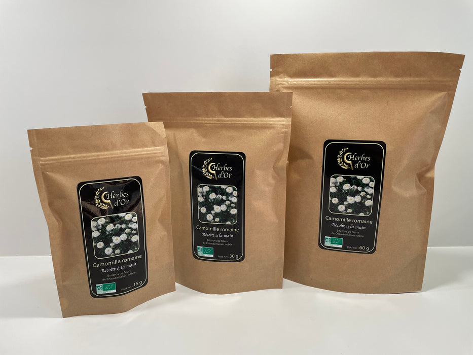 Camomille romaine - Boutons de fleur de Chamaemelum nobile - Rupture de stock récolte courant été